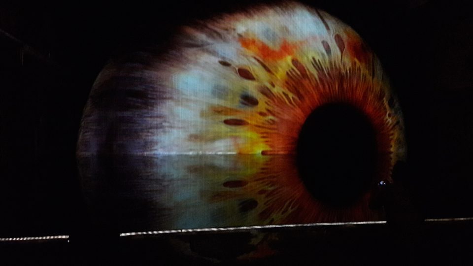 V areálu DEPO2015 bude současně také hlavní bod festivalu, tedy velkoformátová projekce duhovky lidského oka