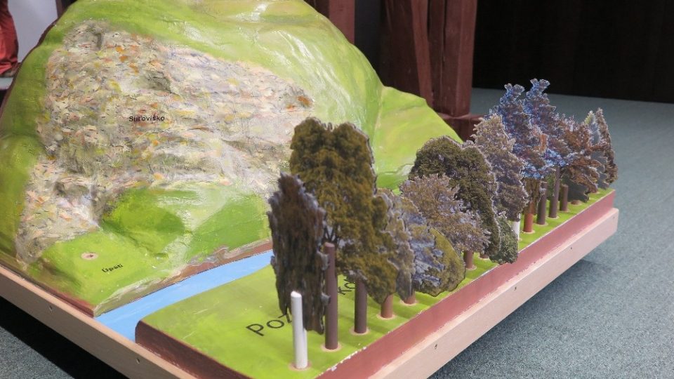 Model hadcového masivu | foto: Pavel Halla Model hadcového masivu