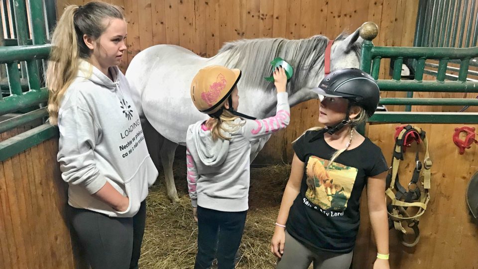 V Boučí na Sokolovsku se každoročně konají čtyři turnusy tábora, na kterém se děti učí, jak pečovat o koně