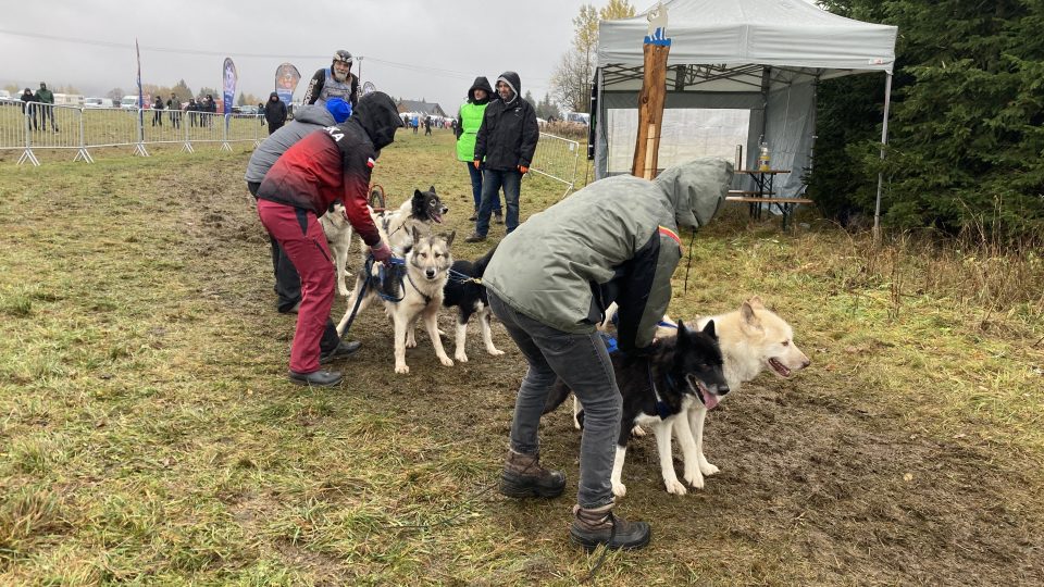 Světový šampionát psích spřežení v Abertamech
