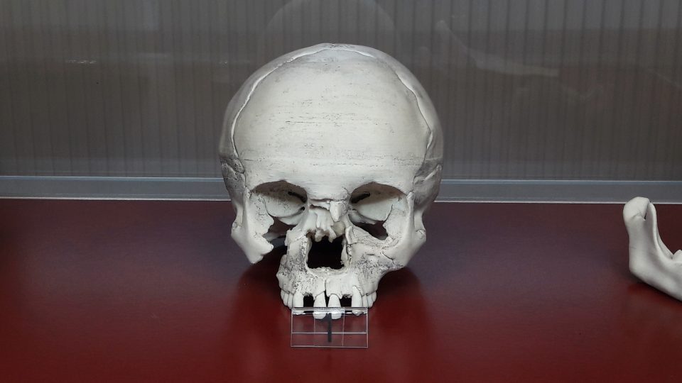 Model lebky vystavený ve Svatojánském muzeu