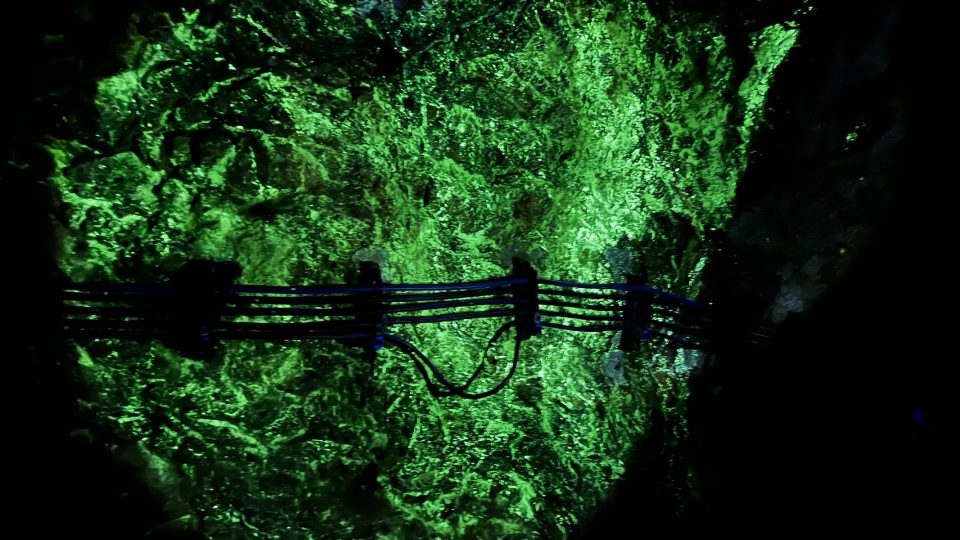 Svítící chodba pod UV lampou | foto: Vít Hrdlička, Český rozhlas Svítící chodba pod UV lampou