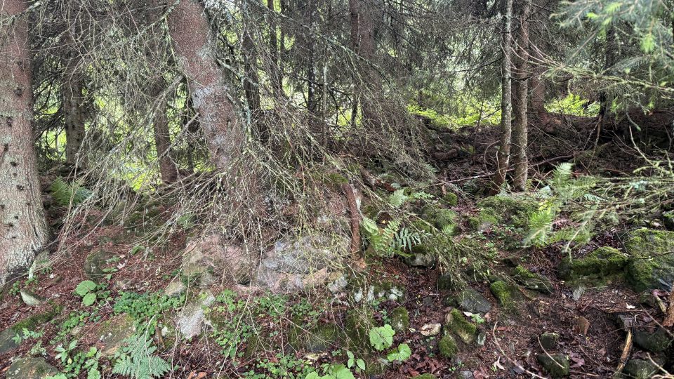Zbytky chaty na Pramenech Vltavy si už přivlastnila příroda | foto: Jan Dvořák Zbytky chaty na Pramenech Vltavy si už přivlastnila příroda
