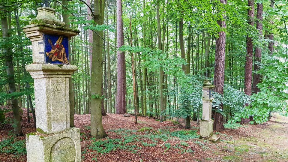 Lesní hřbitov se nachází na kopci Bradlo