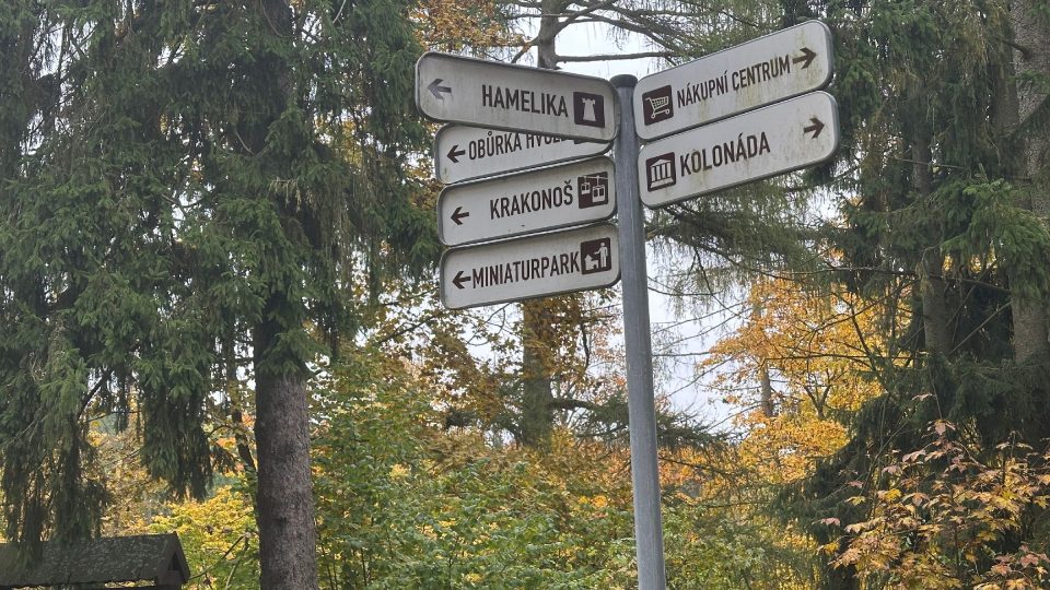 Turistických cílů je v okolí rozhledny víc | foto: Jana Strejčková, Český rozhlas Turistických cílů je v okolí rozhledny víc