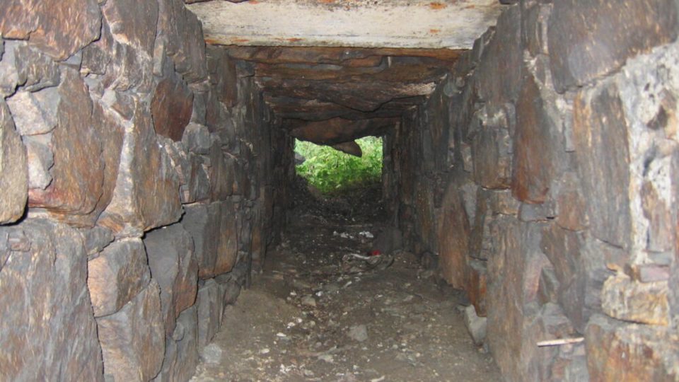 K přechodu silnice užovka používá staré kamenné propusti