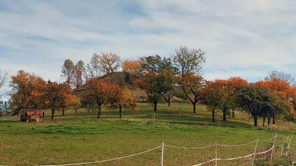 Hřídelecká hůra v obci Hřídelec, která spadá pod Lázně Bělohrad