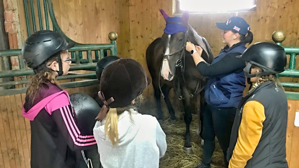 V Boučí na Sokolovsku se každoročně konají čtyři turnusy tábora, na kterém se děti učí, jak pečovat o koně