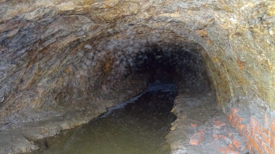 V dolní části zahrady se nachází podzemní jeskyně