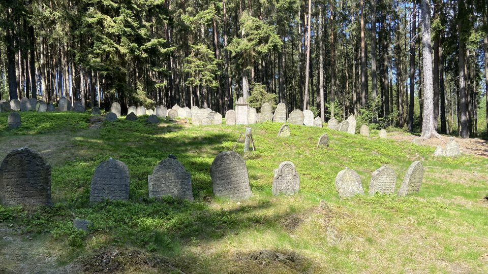 Lesní židovský hřbitov v Drmoulu