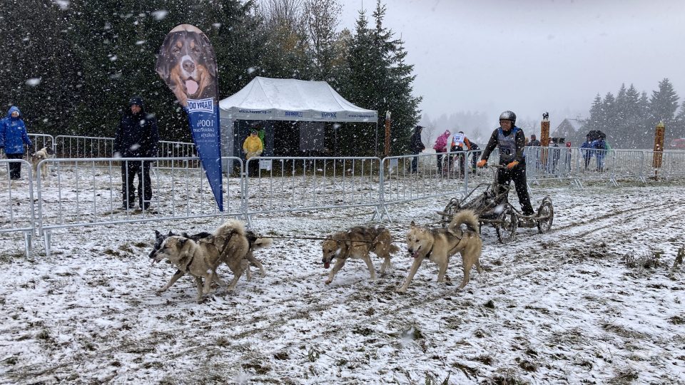 Světový šampionát psích spřežení v Abertamech