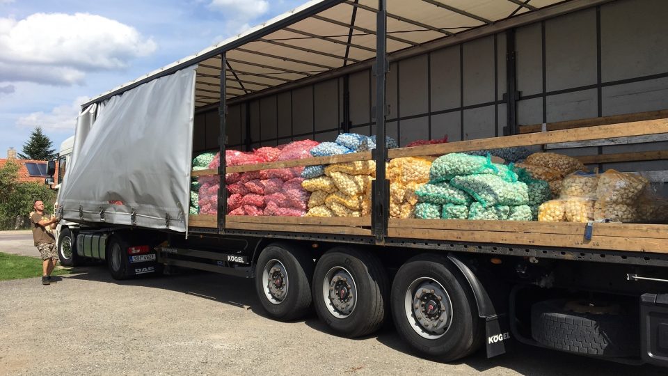 Do Chvojence jezdí kamiony s česnekem, který se pěstuje výhradně v České republice