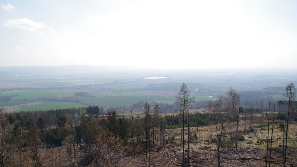 Lesy pod Bradlem bohužel zničil kůrovec a větrné smršti.JPG