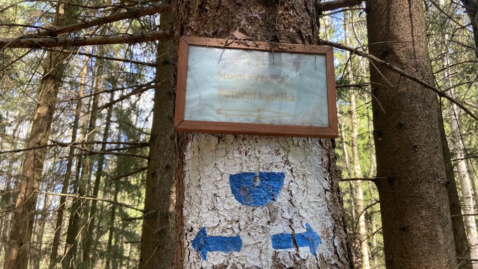 K drmoulským kyselkám vede značená cesta lesem | foto: Jana Strejčková, Český rozhlas K drmoulským kyselkám vede značená cesta lesem