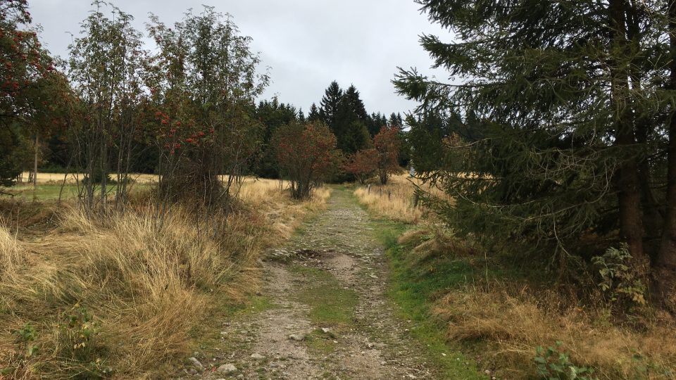 Cesta z Horní Blatné na Vlčí jámy