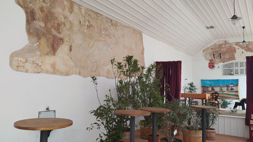 Fresky v oranžerii | foto: Kateřina Dobrovolná, Český rozhlas Fresky v oranžerii