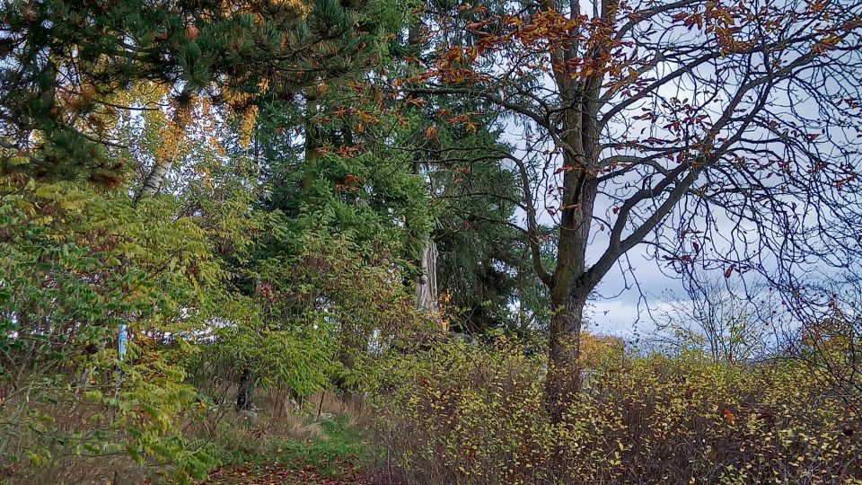Okolí pomníku Mistra Jana Husa v Třemošné by se mělo v budoucnu proměnit | foto: Anděla Blažková, Český rozhlas Okolí pomníku Mistra Jana Husa v Třemošné by se mělo v budoucnu proměnit