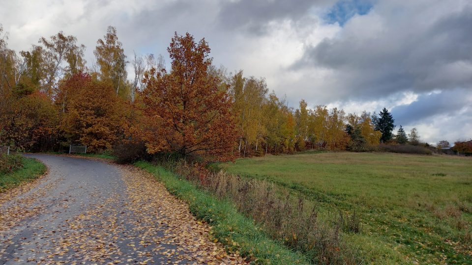 Cesta k pomníku | foto: Anděla Blažková, Český rozhlas Cesta k pomníku