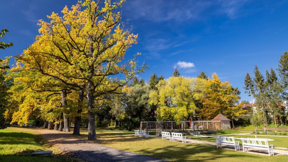 Kumpánovu zahradu zdobí i vzrostlé stromy.jpg | foto: Český rozhlas Kumpánovu zahradu zdobí i vzrostlé stromy.jpg