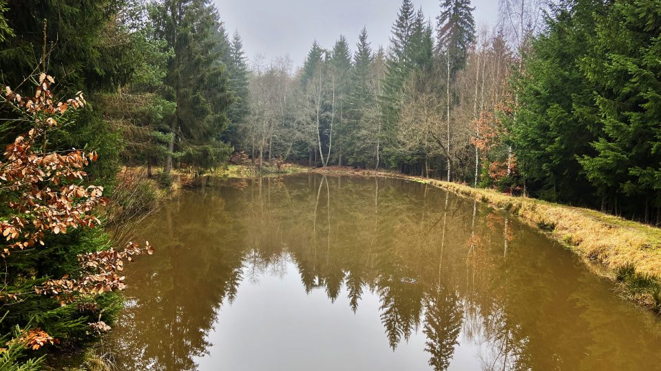 Linhartský rybník poblíž Kojatovy tvrze