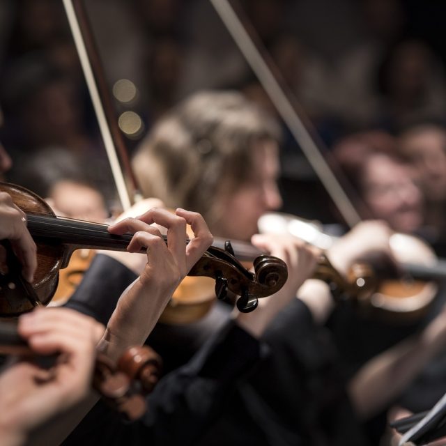 Koncertní sál vymění karlovarští symfonici třeba za parkoviště nebo dětské hřiště  (ilustrační foto)  | foto: Fotobanka Pixabay,  CC0 1.0