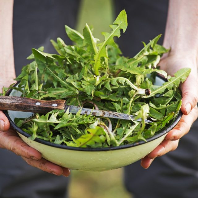 Ilustrační foto | foto: Fotobanka Profimedia