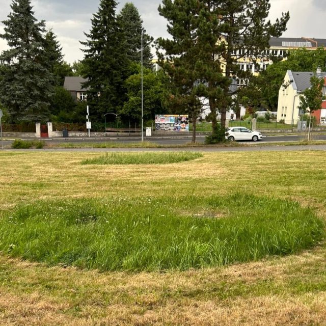 Mozaiková seč,  testovací lokalita Drahovice | foto: Lázeňské lesy a parky Karlovy Vary