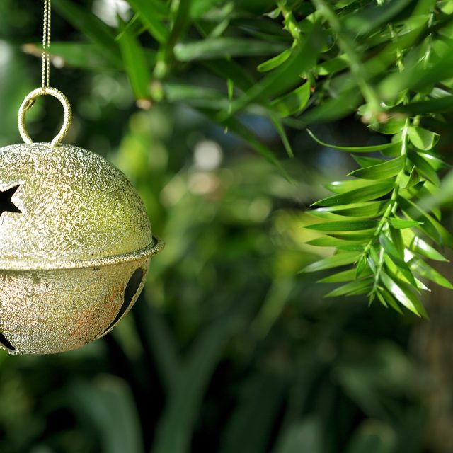 Vánoce,  rolnička | foto: Pixabay