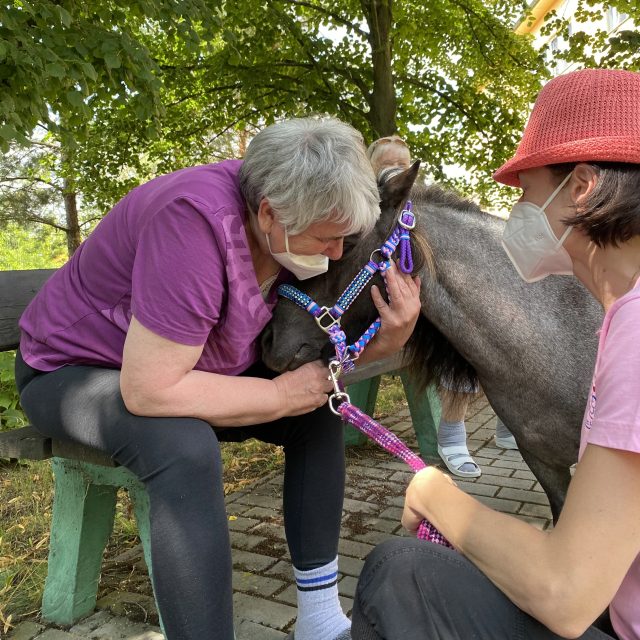 Ponyterapie v v Domě pro zdravotně postižené v Horní Bříze | foto: Karolína Sedláková,  Český rozhlas,  Český rozhlas