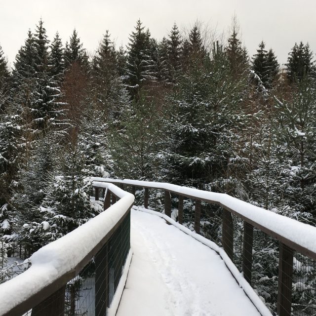 Ilustrační foto | foto: Jana Strejčková,  Český rozhlas