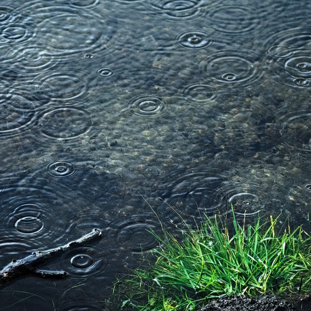 No to je nám počasíčko! Poslechněte si smutnokrásnědepresivní folkové písně | foto: Fotobanka Pixabay