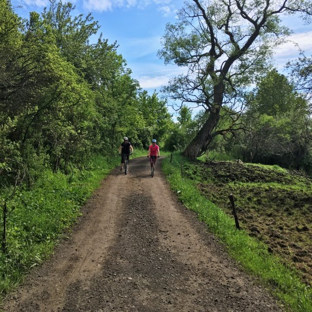 Cyklostezka Ohře | foto: Jana Strejčková,  Český rozhlas