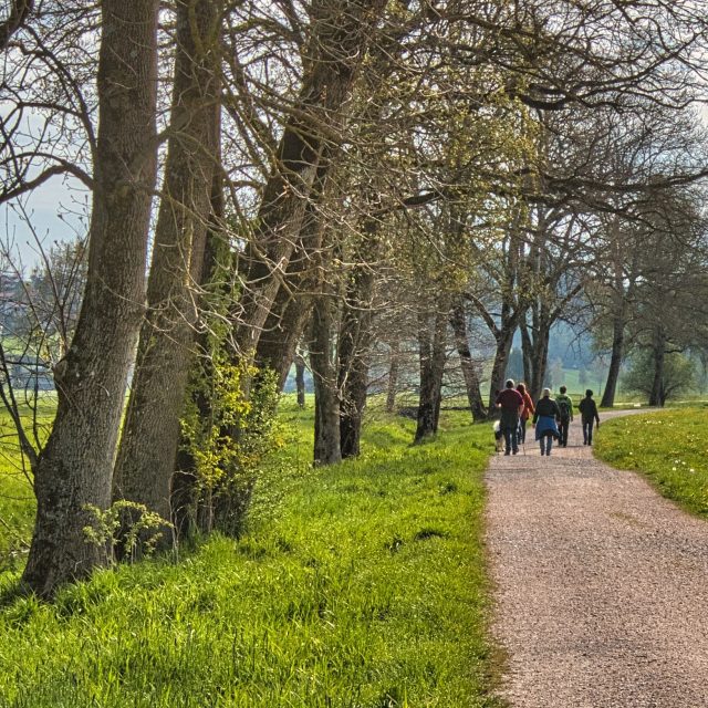 Petr Prokeš | foto: Slavomír Kubeš,  ČTK
