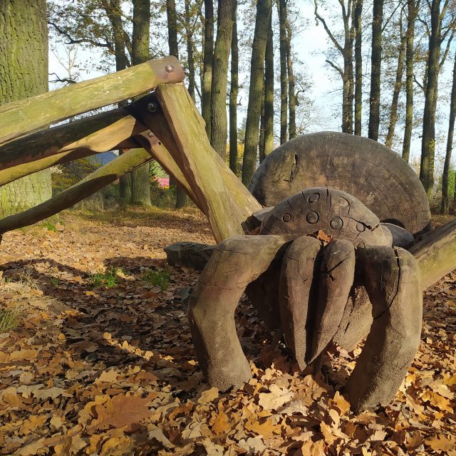 Pavouk v nadživotní velikosti budí spíše zvědavost,  než hrůzu | foto: Kateřina Dobrovolná,  Český rozhlas