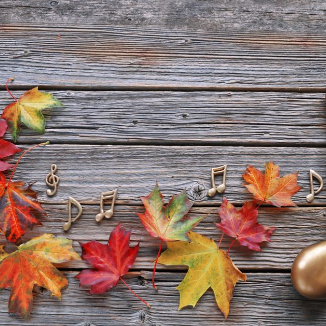 Podzimní hudba | foto: Shutterstock