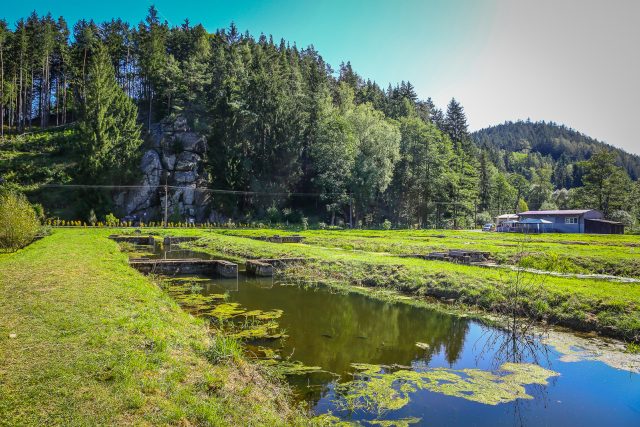 V Bečově nad Teplou vzniká největší vodní zahrada v Česku | foto: Lenka Mahdalová,  Český rozhlas Karlovy Vary