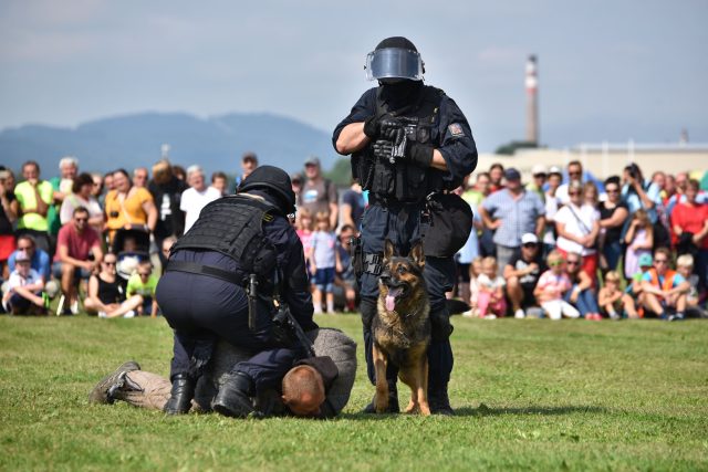 Na programu je i ukázka výcviku policejních psů  (ilustrační foto) | foto: Pavel Kohout