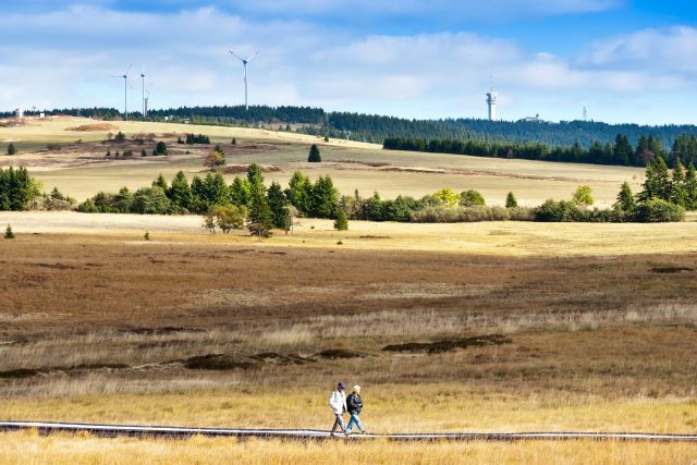 Naučná stezka Božídarské rašeliniště,  Boží Dar,  Krušné hory | foto: Profimedia