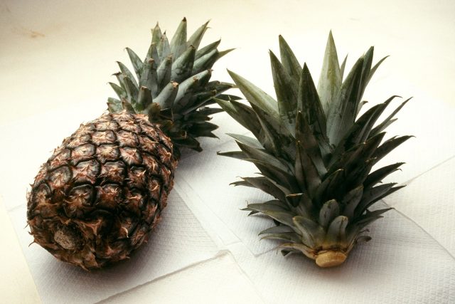 Ananas koupený a sazenice | foto: Ivan Dvořák