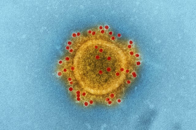 Koronavirus | foto:  CDC,  Fotobanka Unsplash