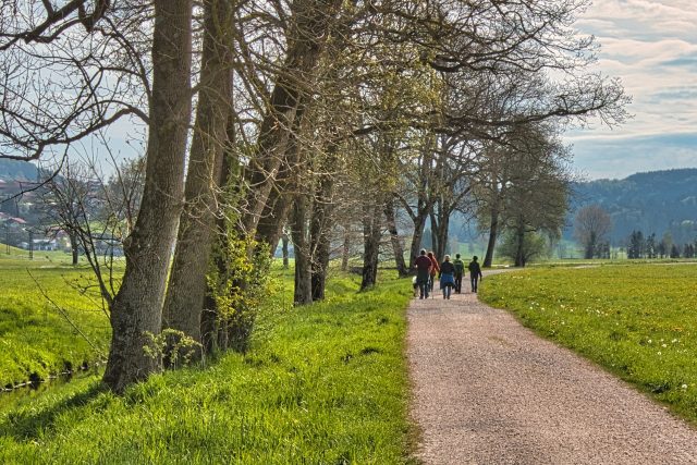 Petr Prokeš | foto: Slavomír Kubeš,  ČTK