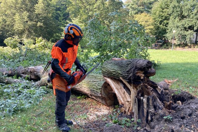 Lázeňské lesy a parky likvidují škody po bouřce z minulého týdne | foto: Dominik Hron,  Český rozhlas