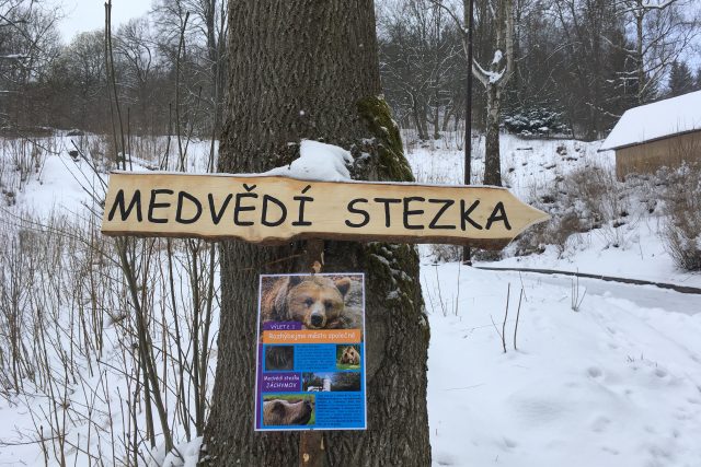 Medvědí stezka | foto: Jana Strejčková,  Český rozhlas