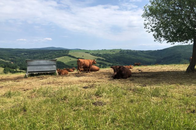 Oblast Žítková,  Bílé Karpaty | foto: Leona Nevařilová,  Český rozhlas