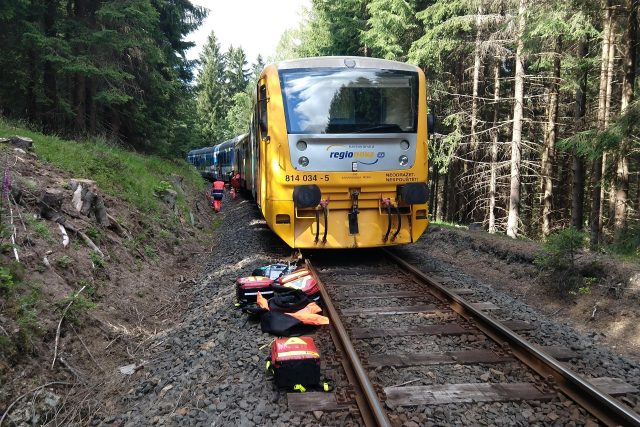 Srážka soupravy RegioNova  (vpředu) a RegioShark  (vzadu)  u Perninku na Karlovarsku. | foto: Správa železnic